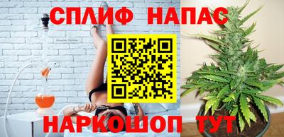 прущие грибы Бердск
