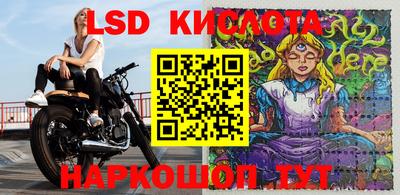 прущие грибы Бердск