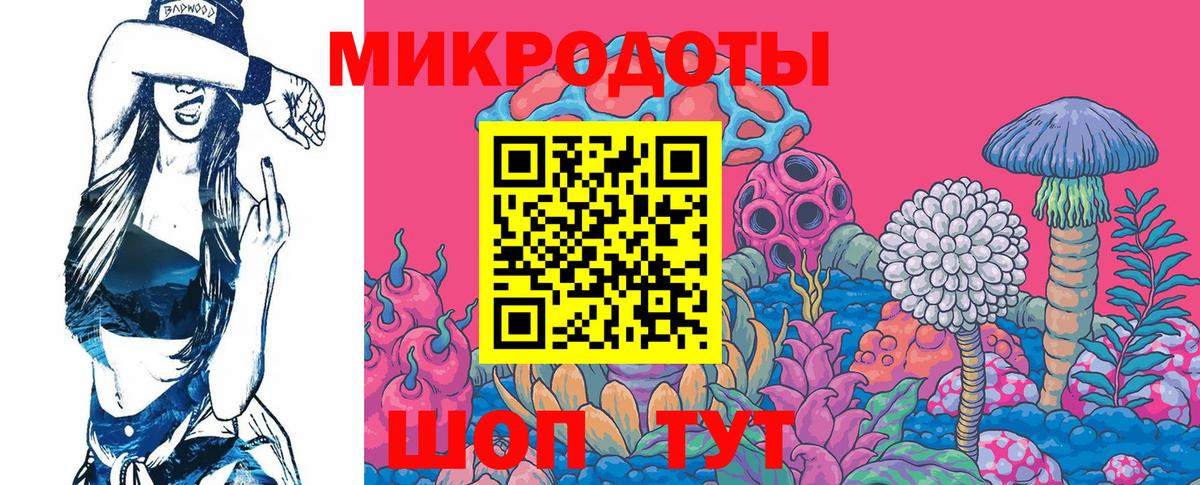 Псилоцибиновые грибы GOLDEN TEACHER Звенигород