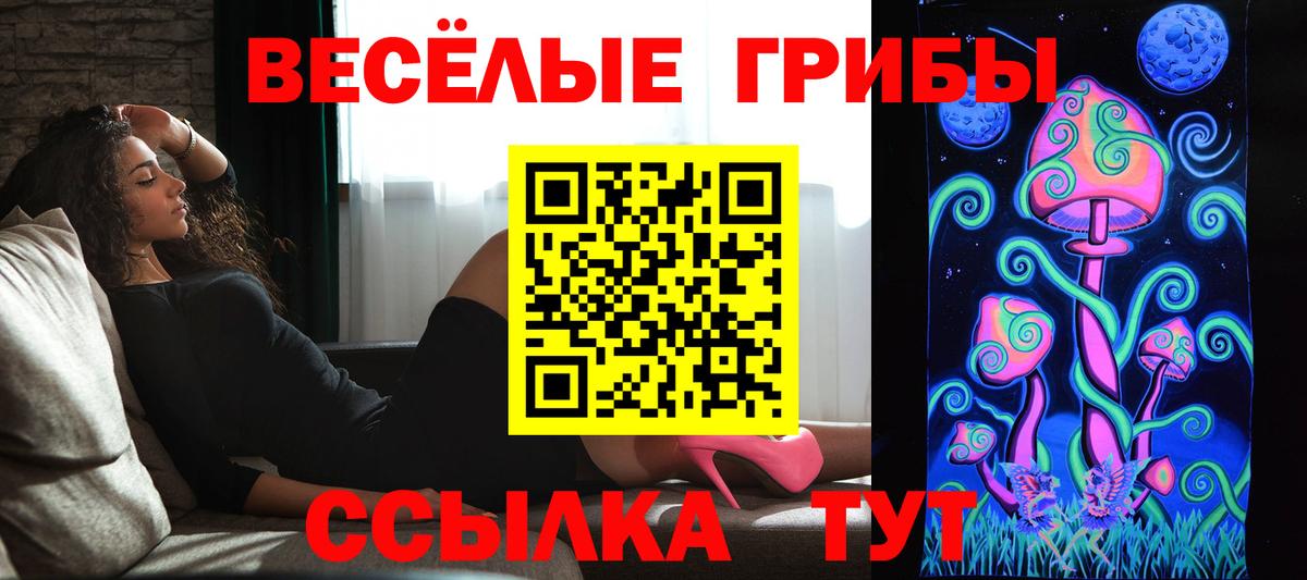 что такое   Вход с VPN  Псилоцибиновые грибы прущие грибы  Звенигород  Псилоцибиновые грибы мицелий 