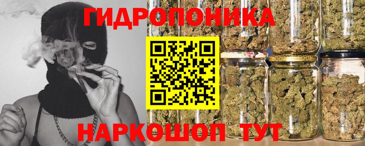 Конопля Amnesia Звенигород